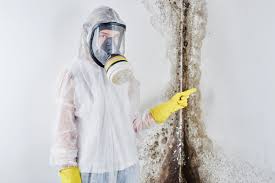 Mold Remediation for Rental Properties in Wyncote, PA